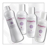 FRISETTE : spracovanie formulárov - DEMERAL