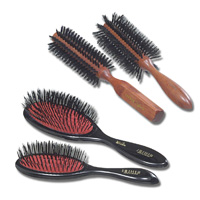 ALSA : BRUSH TECHNOLOGY